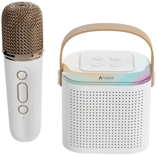 Audionic Boom Box 101 Speaker